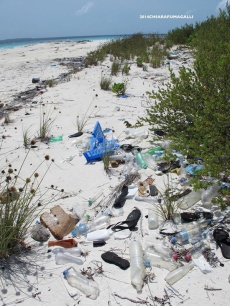 Если на островах-курортах мусор постоянно убирается, то на необитаемых островах ситуация печальная: все отходы цивилизации просто вымывает на берег. Фотография Киары Фумагалли / Picture by Chiara Fumagalli.